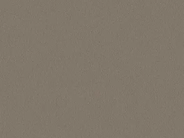 Modena 5T08 greige – rechteckige Draufsicht auf modernen greigefarbenen Veloursboden als Meterware